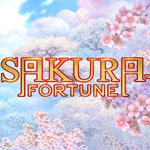 Sakura Fortune